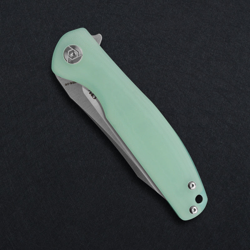 CH 3516 D2 G10 Handle Folding Knife