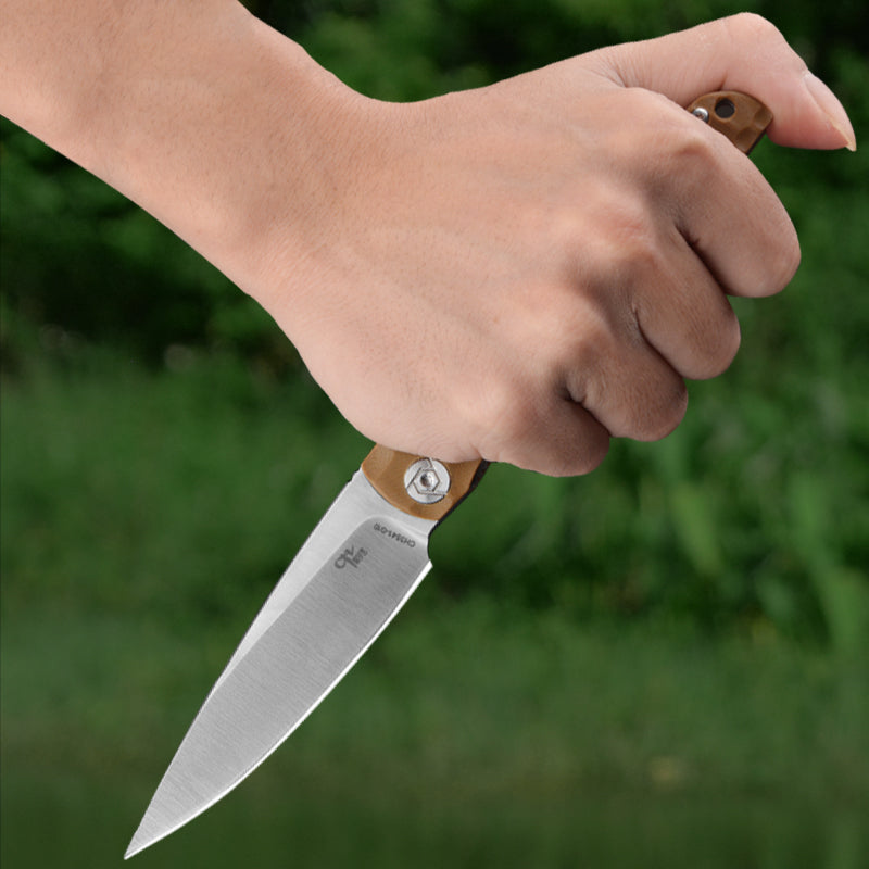 CH 3541 D2 G10 Handle Folding Knife