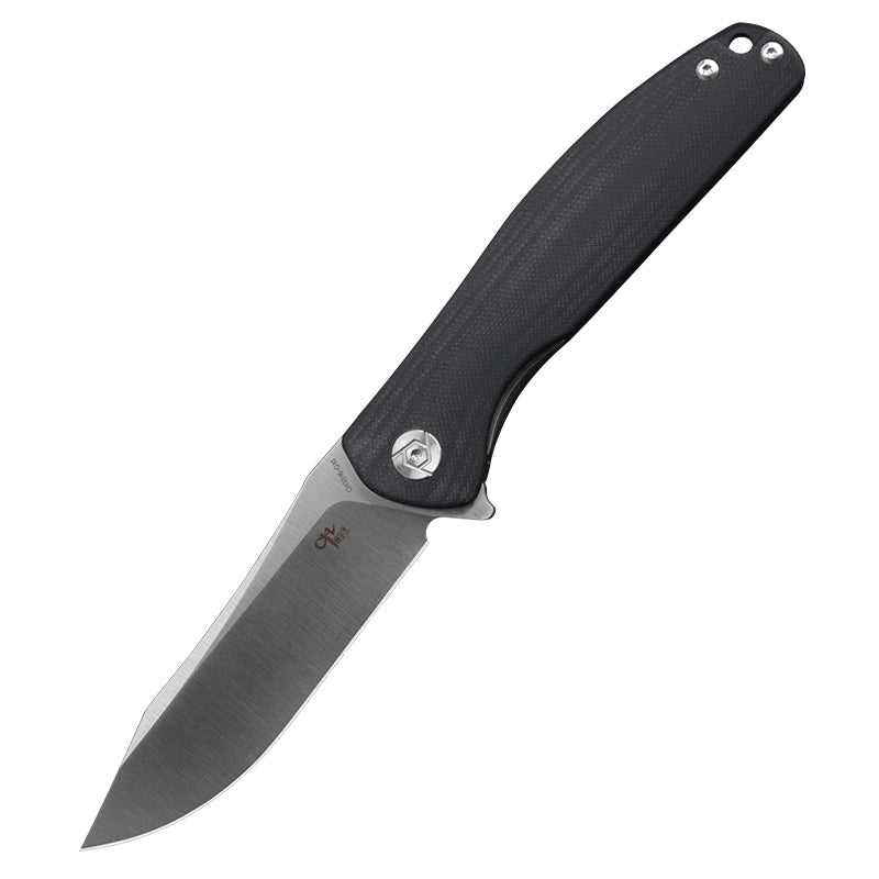 CH 3516 D2 G10 Handle Folding Knife