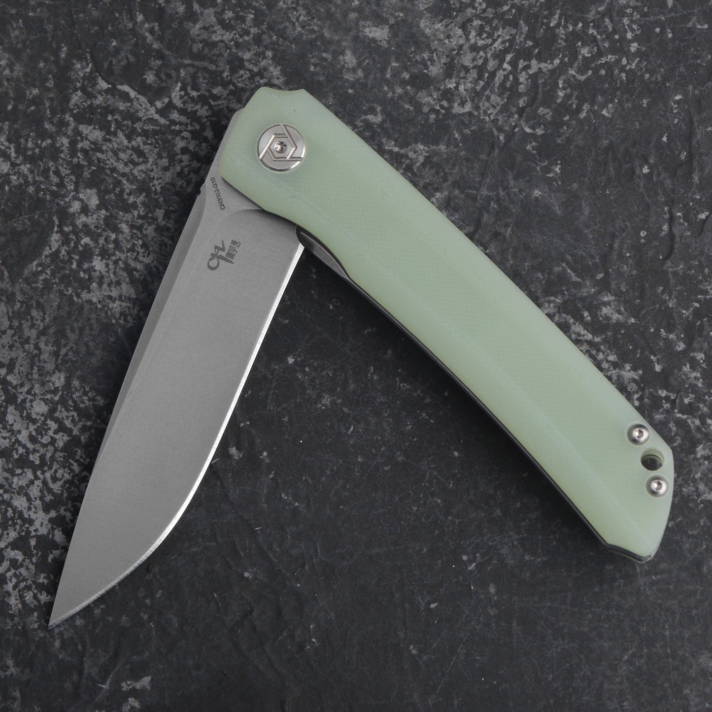 CH 3002 D2 G10 Handle Folding Knife IN STOCK