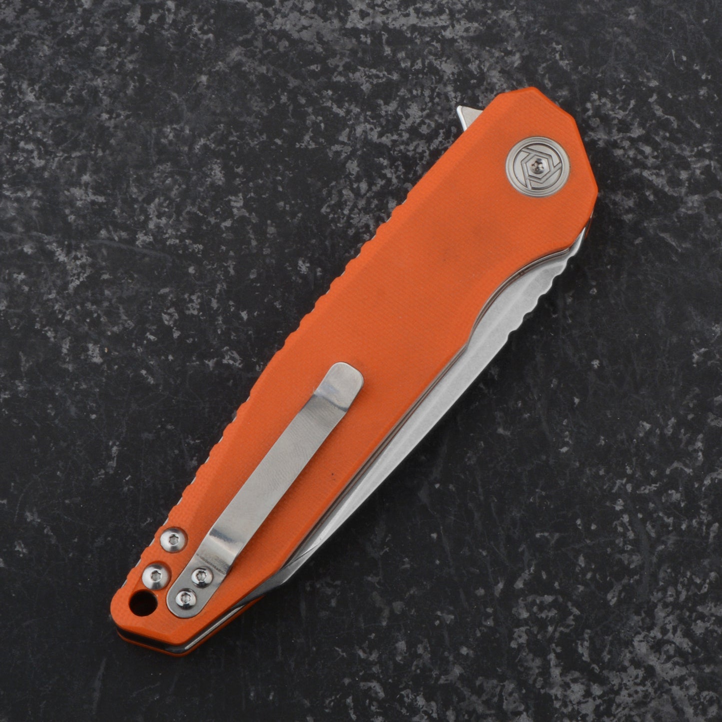 CH 3004 D2 G10 Handle Folding Knife IN STOCK