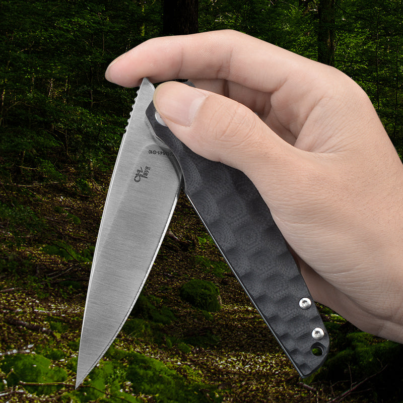 CH 3541 D2 G10 Handle Folding Knife