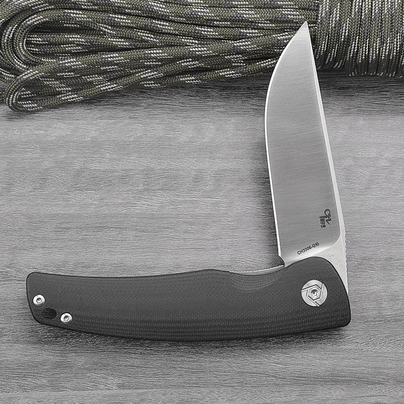 CH 3006 D2 G10 Handle Folding Knife IN STOCK