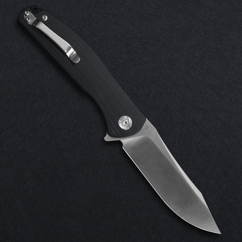 CH 3516 D2 G10 Handle Folding Knife