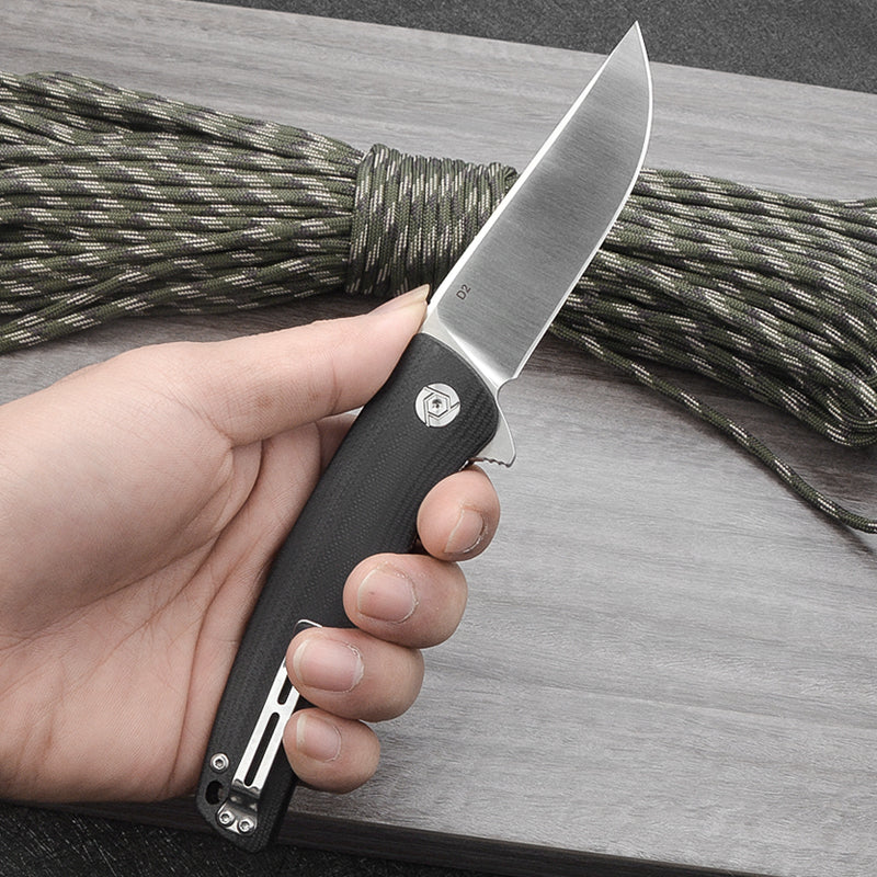 CH 3006 D2 G10 Handle Folding Knife IN STOCK