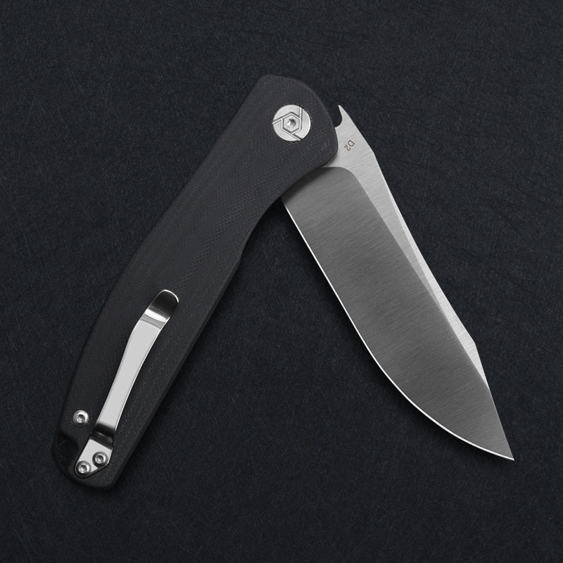 CH 3516 D2 G10 Handle Folding Knife