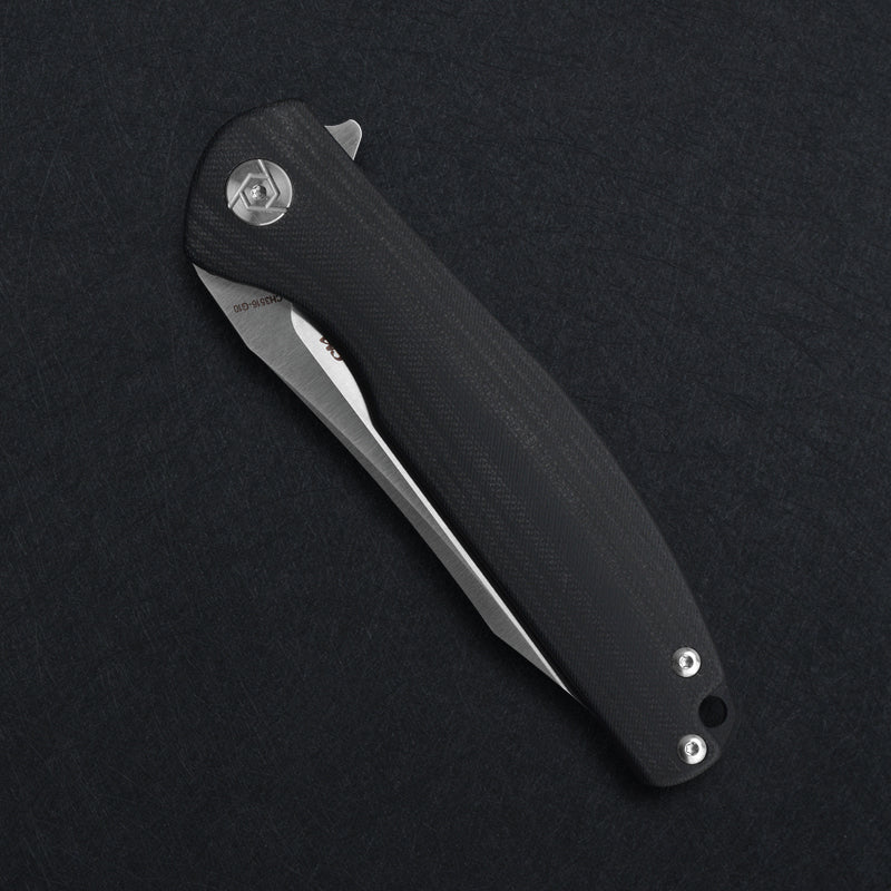 CH 3516 D2 G10 Handle Folding Knife