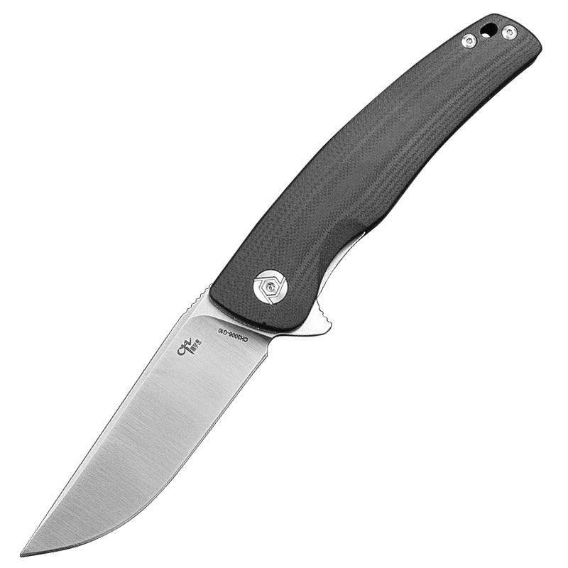 CH 3006 D2 G10 Handle Folding Knife IN STOCK