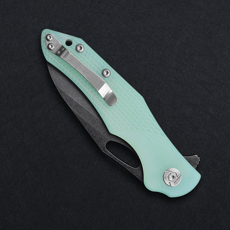 CH 3522 D2 G10 Handle Folding Knife