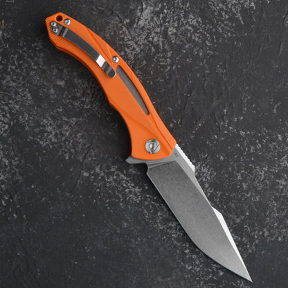 CH 3519 D2 G10 Handle Folding Knife