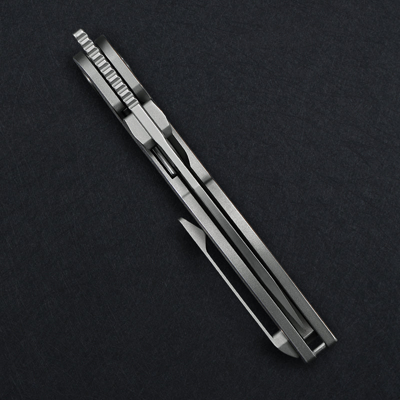 CH Rapto-BL - Pre Order, April Delivery