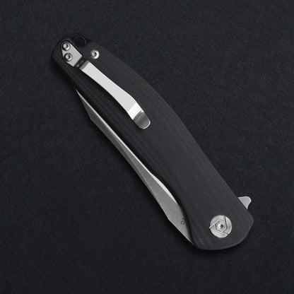 CH 3516 D2 G10 Handle Folding Knife