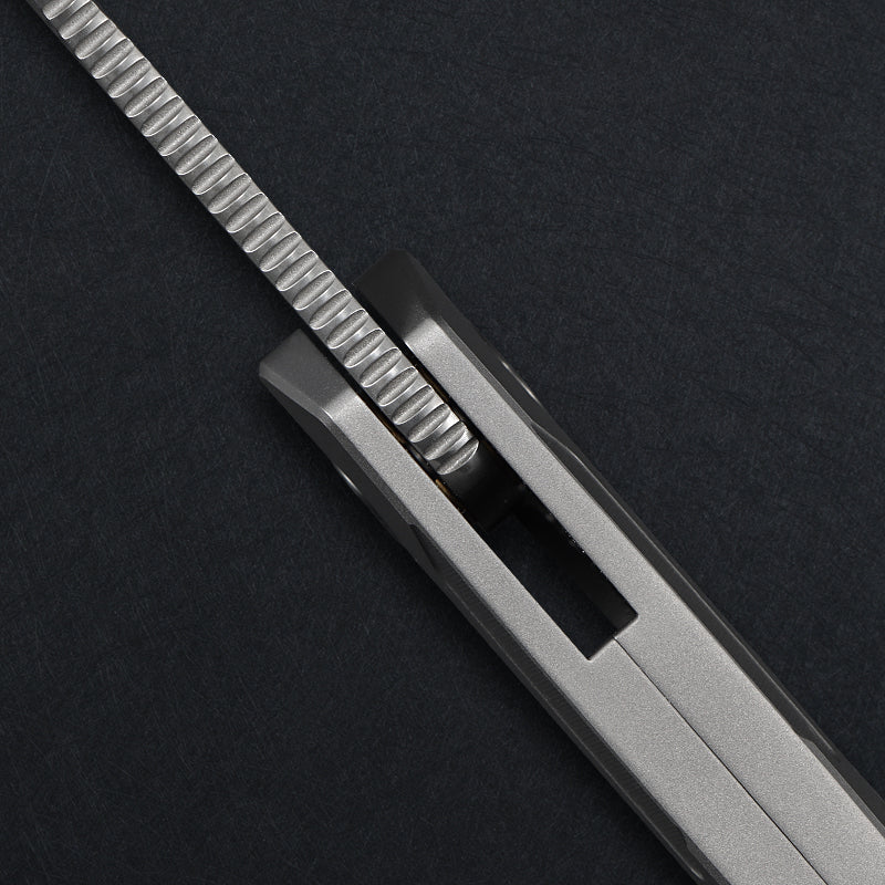 CH Wartex Frame Lock Sliver Ti （3.54'' Satin Damascus）