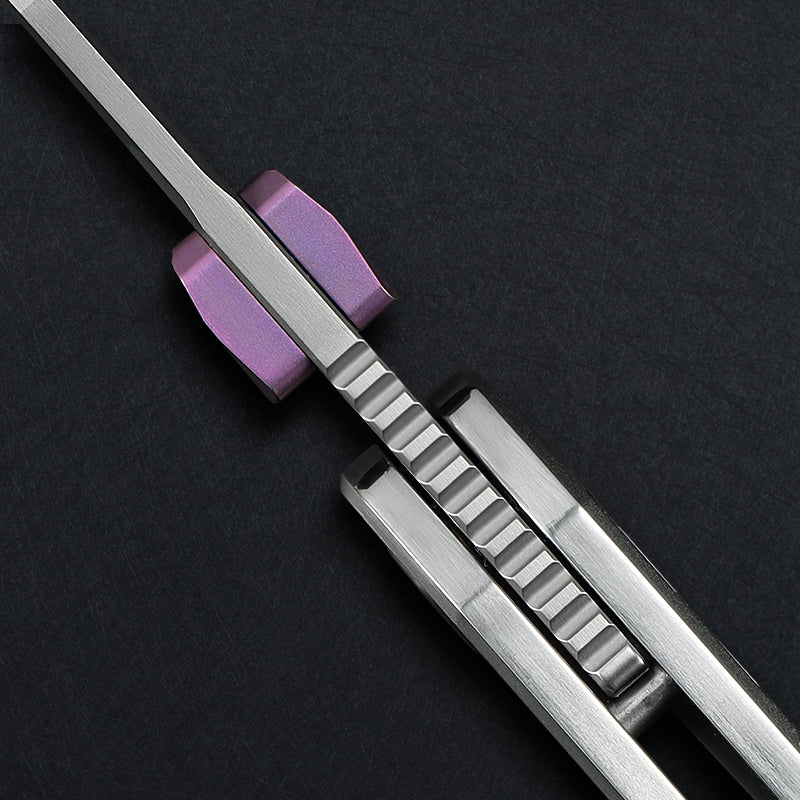 CH Rapto-WHBK - Pre Order, April Delivery