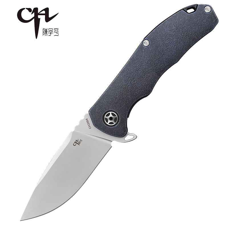 CH 3504 D2 G10 Handle Folding Knife IN STOCK