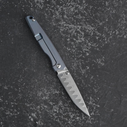 CH WUBU VG10 Ti Handle Folding Knife